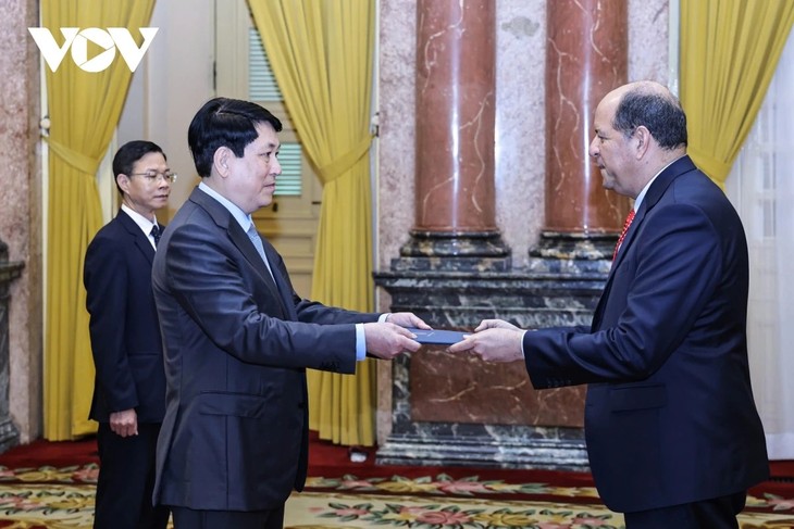 Staatspräsident Luong Cuong empfängt neue Botschafter  - ảnh 2