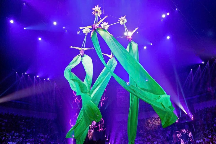 Vietnamesische Zirkuskünstler gewinnen zwei internationale Preise - ảnh 1