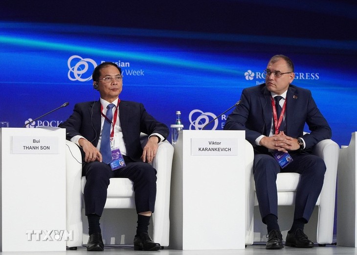 Vietnam will die Flüssigerdgas-Kraftwerke im Zeitraum 2028 bis 2030 kommerziell in Betrieb nehmen - ảnh 1