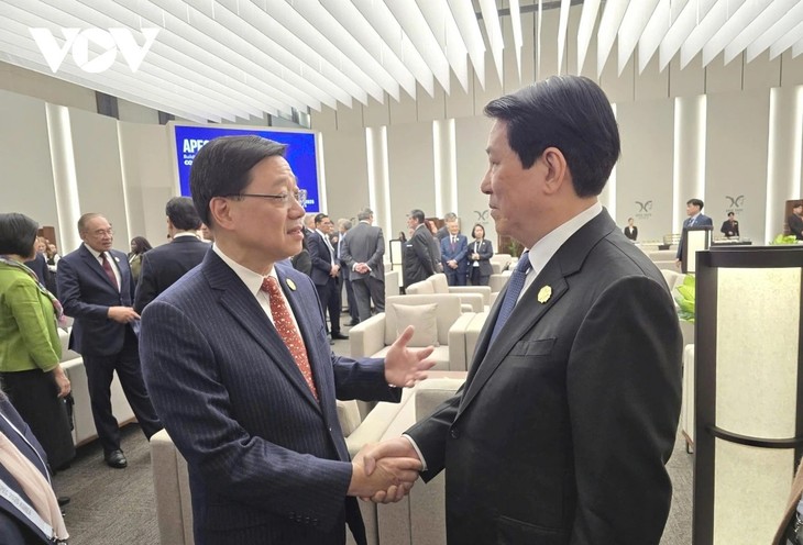 Staatspräsident Luong Cuong trifft Staats- und Regierungschefs beim APEC-Gipfel  - ảnh 3
