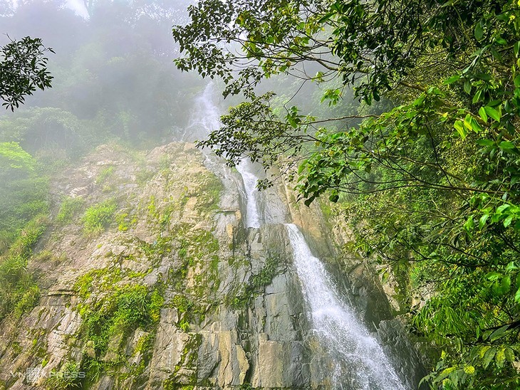 Le Vietnam remporte 16 des World Travel Awards 2022 - ảnh 13