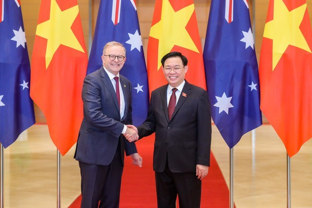 Entrevue Vuong Dinh Huê-Anthony Albanese - ảnh 1