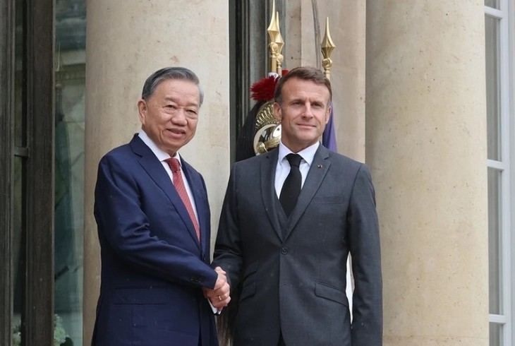 Vietnam-France: Entretien entre Tô Lâm et Emmanuel Macron - ảnh 1