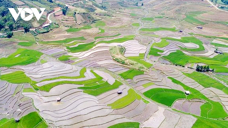Mù Cang Chải: la saison des eaux sur les rizières en terrasses - ảnh 12