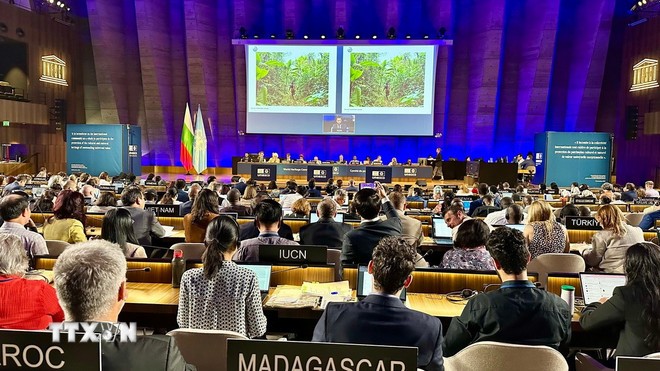 Un trésor partagé: le premier site du patrimoine mondial transfrontalier du Vietnam et du Laos - ảnh 1