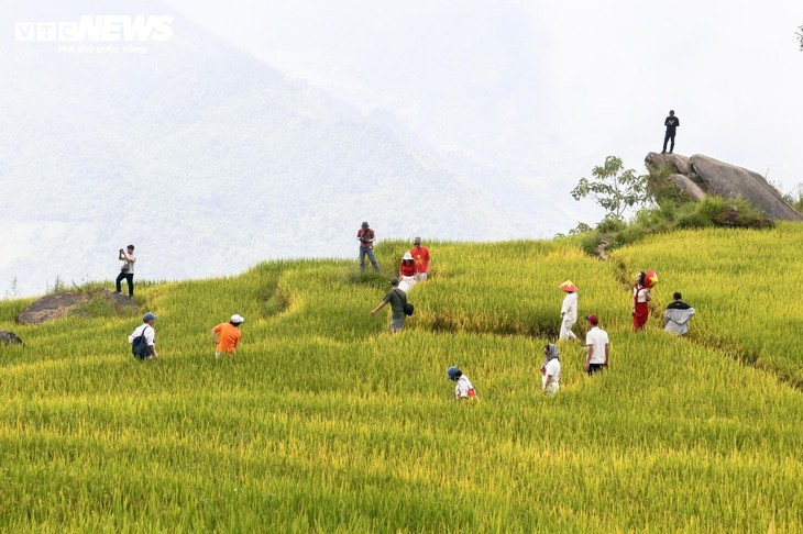 Y Tý en saison dorée: le rendez-vous magique de l’automne au nord du Vietnam - ảnh 8