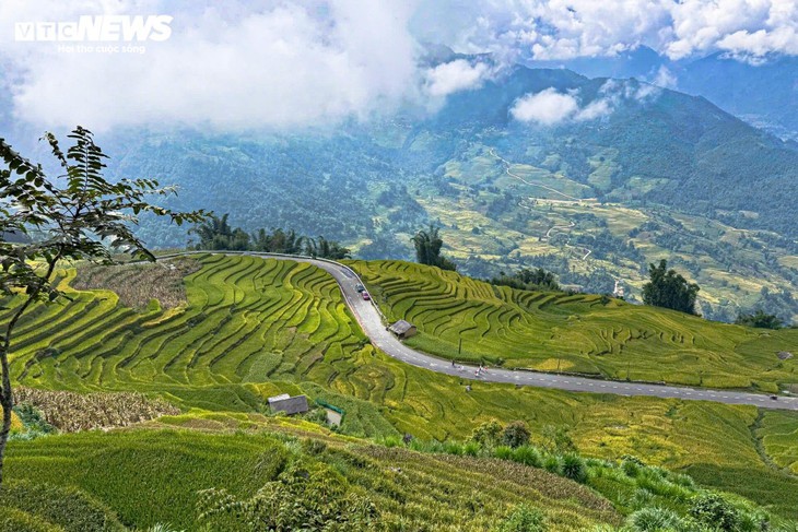 Y Tý en saison dorée: le rendez-vous magique de l’automne au nord du Vietnam - ảnh 9