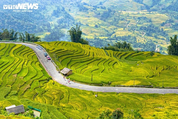 Y Tý en saison dorée: le rendez-vous magique de l’automne au nord du Vietnam - ảnh 2