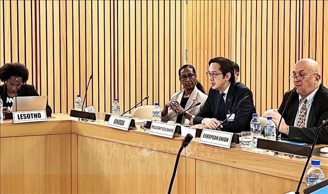Le Vietnam préside la consultation africaine préparatoire à la Conférence d’examen du TNP 2026 - ảnh 1