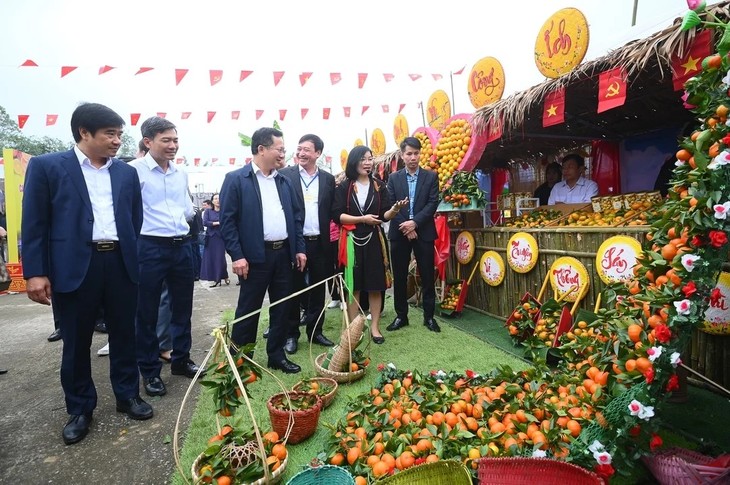 Festival de l’orange de Vân Dôn 2025 - ảnh 1