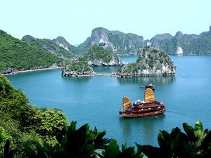 Triển lãm 