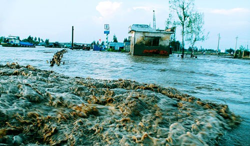 WB hỗ trợ Việt Nam cải cách ngành điện và chương trình ứng phó biến đổi khí hậu  - ảnh 1