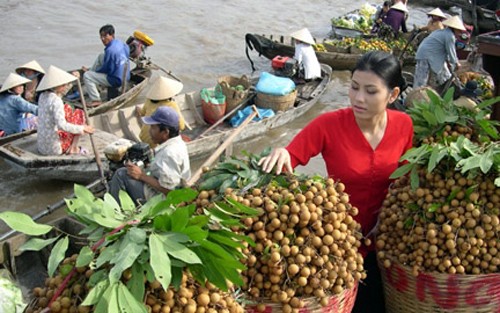 Hoàn thiện Đề án liên kết các sản phẩm chủ lực của khu vực Đồng bằng Sông Cửu Long - ảnh 1