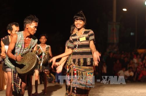 Trưởng Cơ quan đại diện Việt Nam là cầu nối giới thiệu các tỉnh Tây Nguyên với bạn bè quốc tế    - ảnh 1