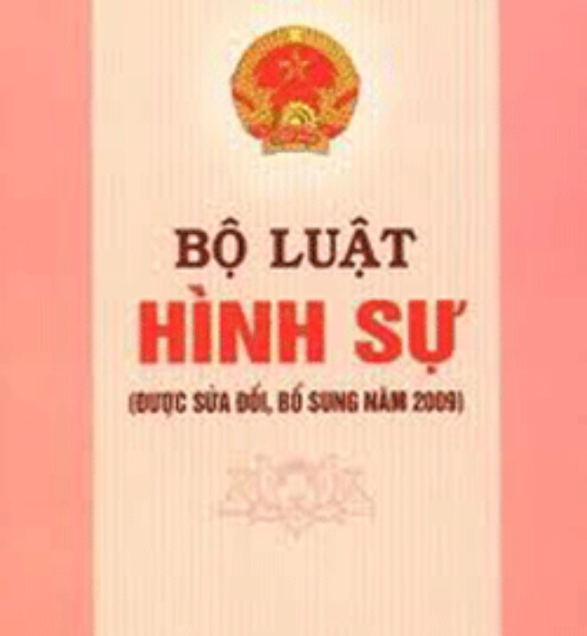 Tổ chức lấy ý kiến nhân dân về Dự thảo Bộ luật hình sự (sửa đổi) - ảnh 1