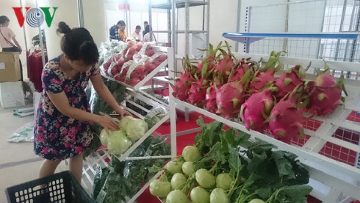 Ekspor hortikultura diprakirakan mencapai satu miliar dolar AS - ảnh 1