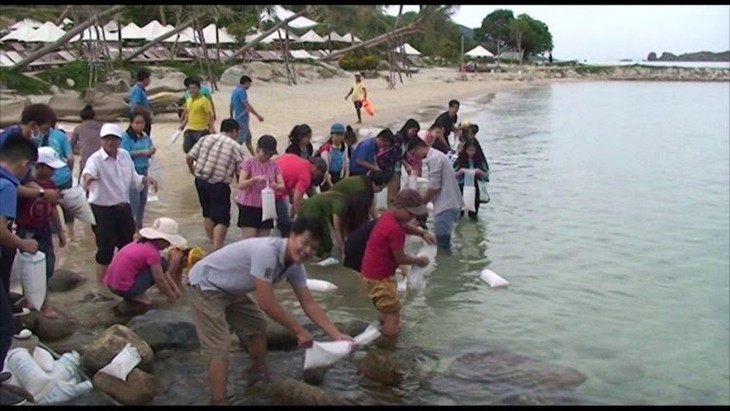 Banyak aktivitas sosial dan melindungi lingkungan di Festival Laut Nha Trang-Khanh Hoa 2017 - ảnh 1