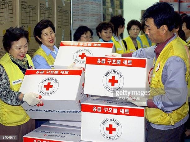 Republik Korea mengusulkan penyelenggaraan pertemuan Lembaga Palang Merah dari dua bagian negeri Korea - ảnh 1