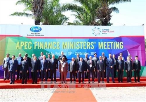 Tonggak-tonggak penting dalam proses perkembangan APEC - ảnh 1