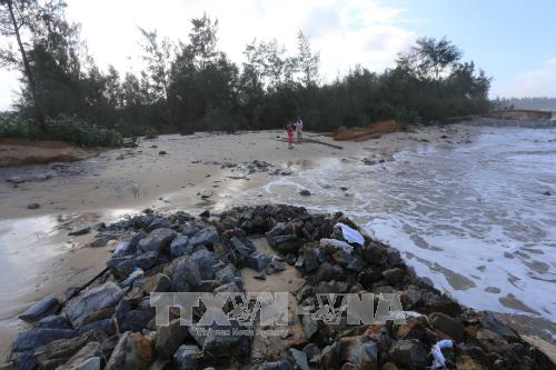 Lukxembourg membantu Provinsi Thua Thien-Hue melaksanakan proyek beradaptasi dengan perubahan iklim - ảnh 1