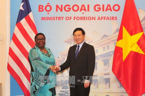 Deputi PM, Menlu Vietnam, Pham Binh Minh melakukan pembicaraan dengan Menlu Republik Liberia, Marjon Vashti Kamara - ảnh 1