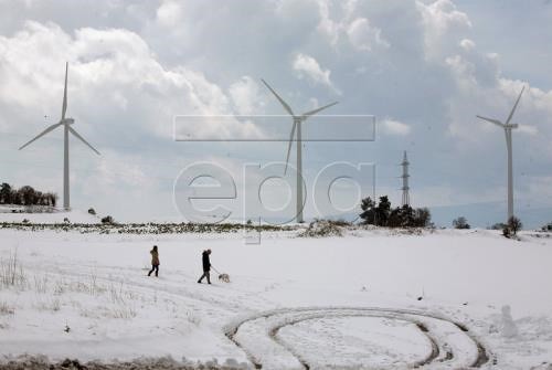 Negara-negara Uni Eropa menetapkan target bersama tentang penggunaan energi terbarukan - ảnh 1