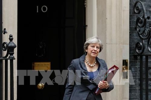 Masalah Brexit: Inggris menenteramkan kalangan investor Jepang tentang hubungan dengan Uni Eropa - ảnh 1