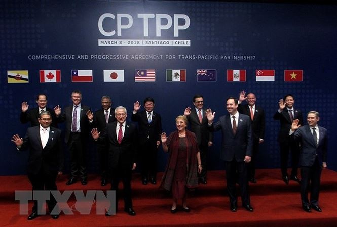 CPTPP memberikan kepentingan ekonomi langsung dan mendorong reformasi di Vietnam - ảnh 1