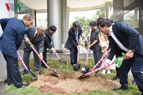 VOV menerima 100 pohon sakura pemberian oleh Sekolah bahasa JepangKairinjuku - ảnh 1