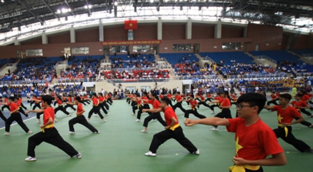 Silat tradisional Vietnam sedang diterima oleh sahabat-sahabat  seluruh dunia - ảnh 1