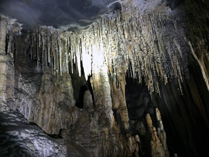 Produk  wisata baru “Menguak tabir guang Vom- gua Gieng Vooc” di Provinsi Quang Binh resmi dibuka - ảnh 1