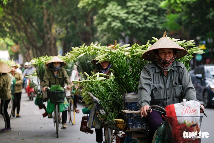 Musim bunga bakung paskah di Kota Ha Noi  - ảnh 2