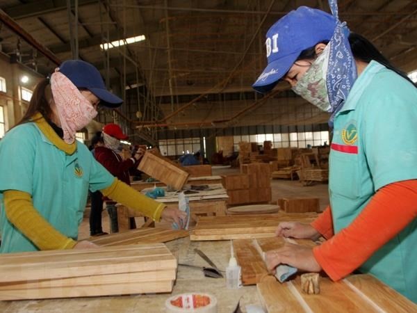 We-Fi membantu badan-badan usaha kecil dan menengah yang dikelola perempuan di Vietnam dan di kawasan Pasifik - ảnh 1