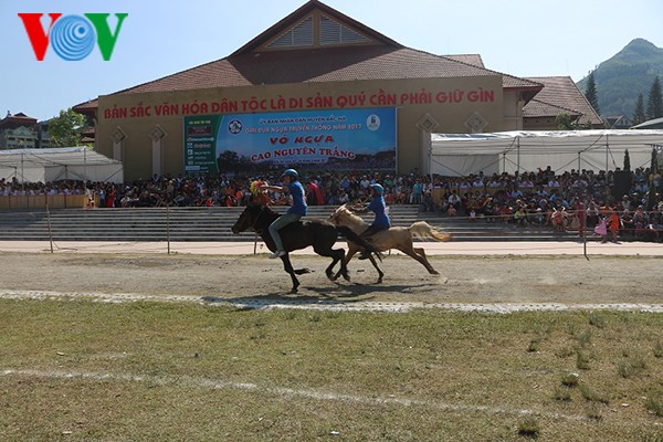 Provinsi Lao Cai sudah siap untuk pembukaan Festival daerah dataran tinggi putih Bac Ha - ảnh 1