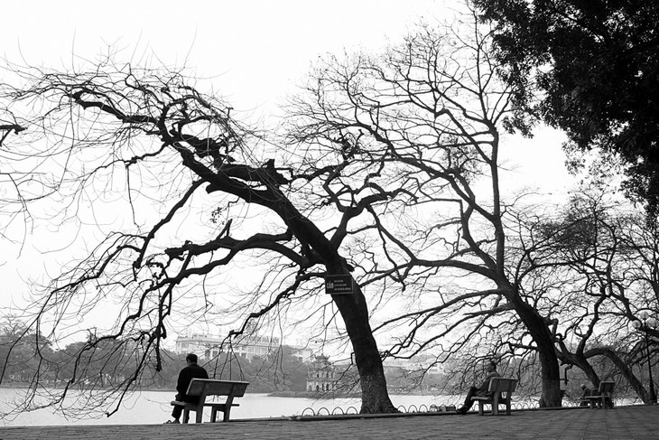 Ada satu Kota Ha Noi yang penuh dengan nostalgia dalam foto-foto ciptaan fotografer Le Bich - ảnh 2