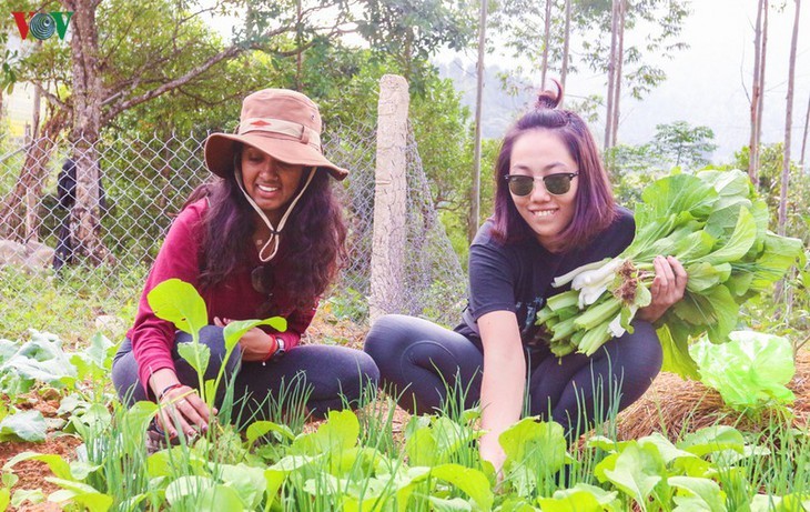 Daerah ketinggian Quang Ninh menyerap kedatangan  wisatawan  untuk menghayati pada Musim Gugur - ảnh 7