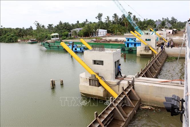 Salinisasi di Daerah Dataran Rendah Sungai Mekong cenderung semakin menurun - ảnh 1