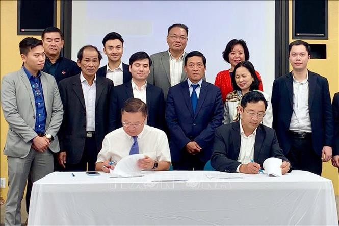 Memberikan bantuan senilai 200.000 USD kepada startup Vietnam - ảnh 1