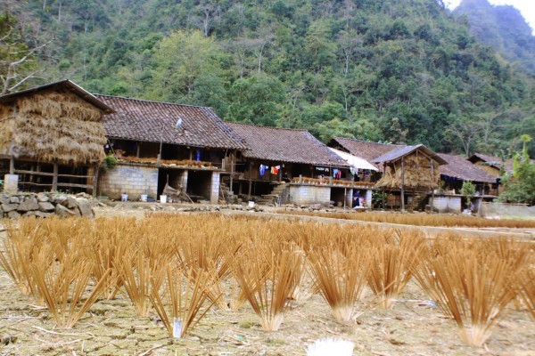 Kerajinan membuat dupa tradisional dari warga etnis minoritas Nung An di Provinsi Cao Bang - ảnh 1