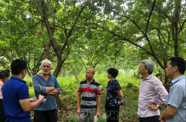 Menilai survei terhadap Geopark Global UNESCO Gunung dan Sungai Cao Bang - ảnh 1