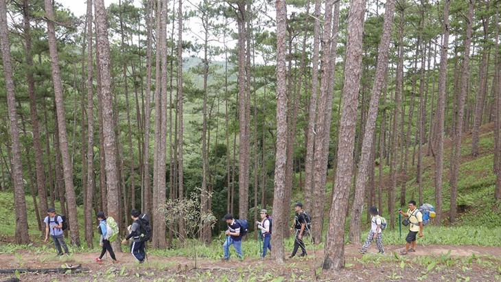 Ta Nang-Phan Dung, jalan di mana para wisatawan bisa menikmati keindahan daerah pegunungan - ảnh 2