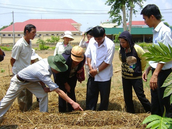 Pendidikan  Kejuruan Berstandar Internasional - ảnh 2