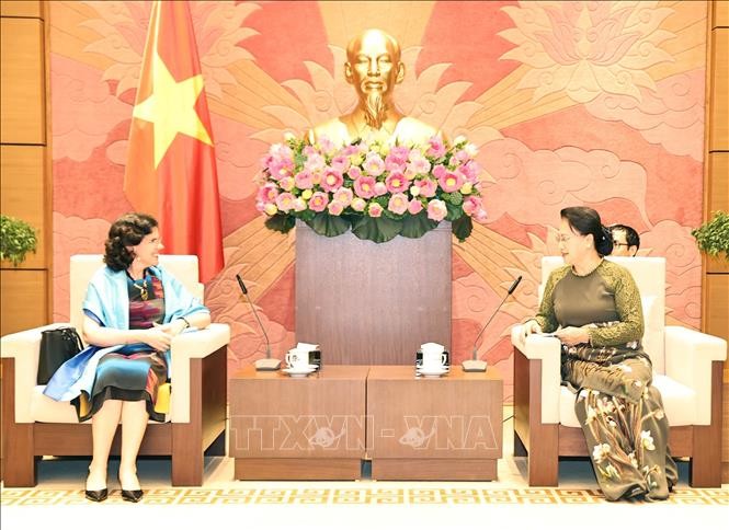 Ketua MN Vietnam, Nguyen Thi Kim Ngan Menerima Dubes Kuba - ảnh 1