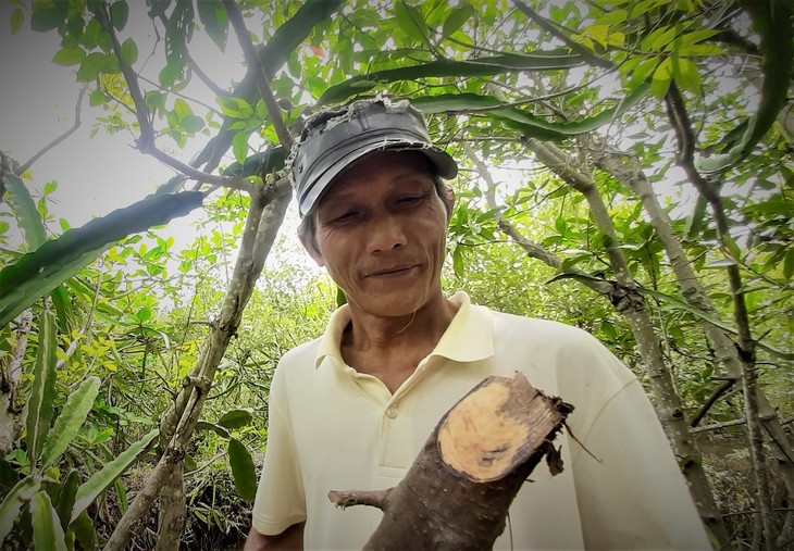 Mai Lam Phuong – Petani Lansia yang Membuka Arah Baru dalam Membuat Sumpit dan Sendok dari Pohon Api-Api - ảnh 1