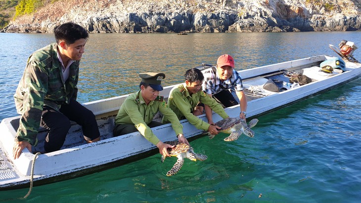 Mengembangkan Pariwisata Kepulauan  Con Dao Menurut Arah yang Berkelanjutan - ảnh 1