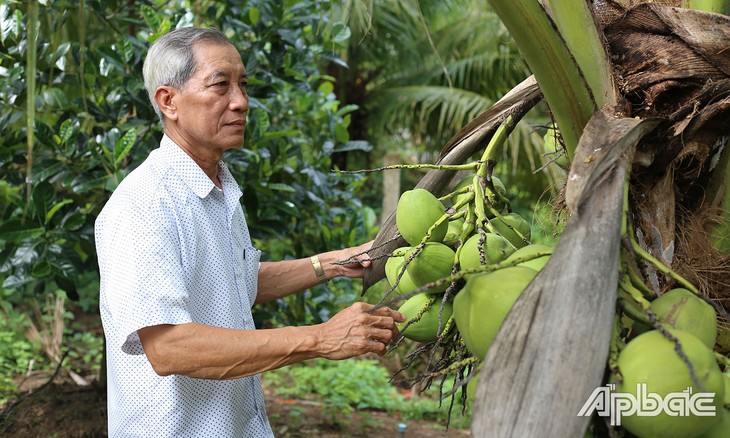 Bapak Le Van Dong- Pejabat Pensiunan  yang Melakukan Produksi Secara Baik, dan Aktif  Melaksanakan Kegiatan Sosial - ảnh 1