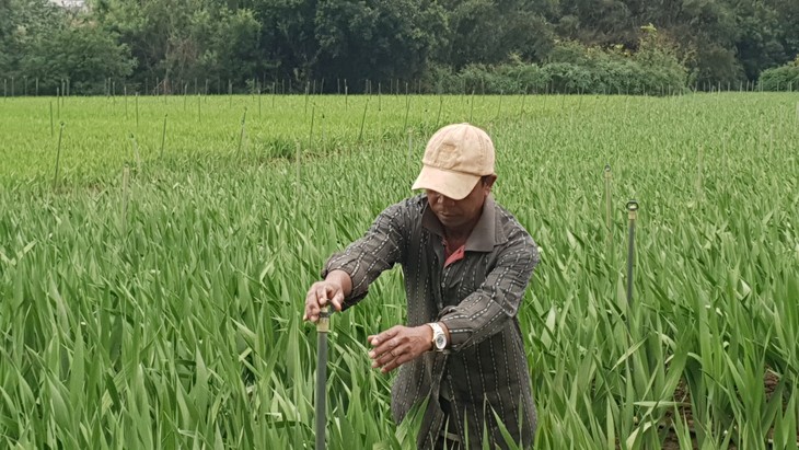 Seorang Anggota Partai Komunis yang Berwibawa di Dusun K’Long - ảnh 1