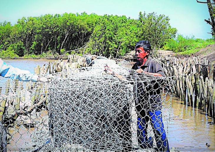 Seorang Pria yang Berupaya Keras  untuk Melindungi Tanggul Laut Bagian Barat - ảnh 1