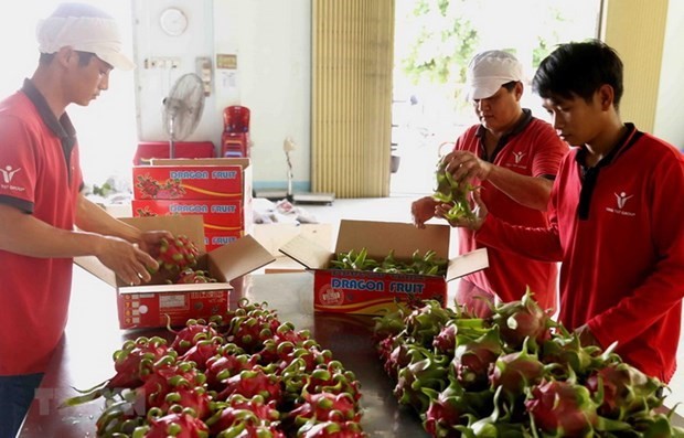 Tambahkan Anggota Kelompok DAG Vietnam Ke Dalam Perjanjian EVFTA - ảnh 1