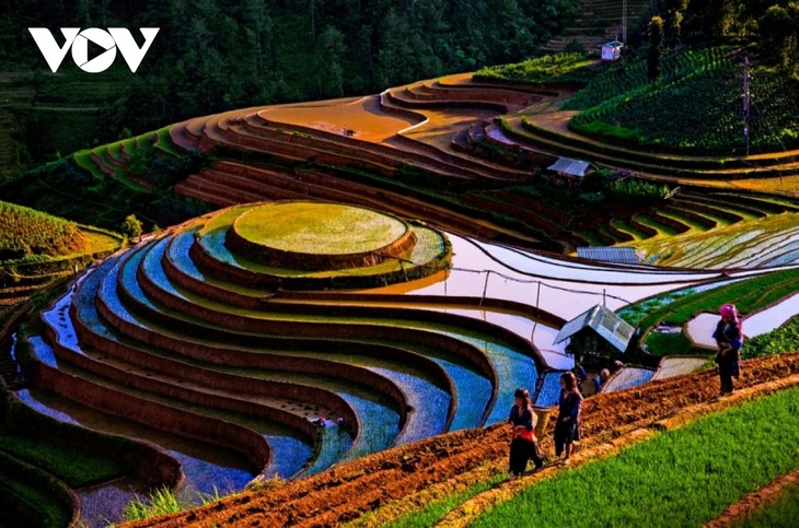 Orang yang Melukis Nampan Nasi  Ketan di Daerah Pegunungan Mu Cang Chai - ảnh 2